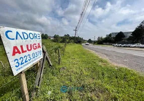 Foto 1 de Lote/Terreno para alugar, 1000m² em São Ciro, Caxias do Sul