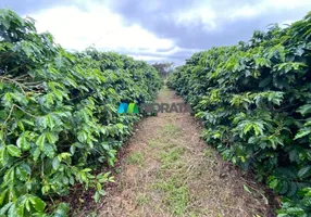 Foto 1 de Fazenda/Sítio com 4 Quartos à venda, 134m² em Zona Rural, Campos Altos