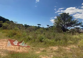 Foto 1 de Fazenda/Sítio com 1 Quarto à venda, 4000m² em Cotia, São José dos Pinhais