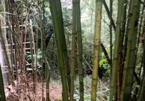 Foto 1 de Lote/Terreno à venda, 1000m² em Valparaiso, Petrópolis