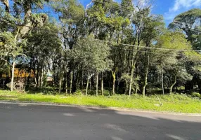 Foto 1 de Lote/Terreno à venda, 802m² em Floresta, Gramado