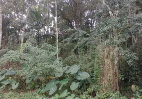 Foto 1 de Lote/Terreno à venda, 1943m² em Jardim Santa Paula, Cotia