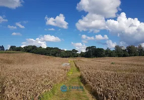 Foto 1 de Lote/Terreno à venda, 150018m² em Linha Palmeiro, Farroupilha