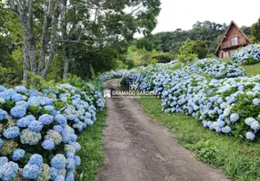 Foto 1 de Fazenda/Sítio à venda, 119000m² em Carazal, Gramado