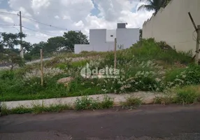 Foto 1 de Lote/Terreno à venda, 300m² em Vigilato Pereira, Uberlândia