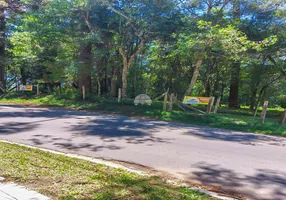 Foto 1 de Lote/Terreno à venda, 1124m² em Centro, São José dos Pinhais