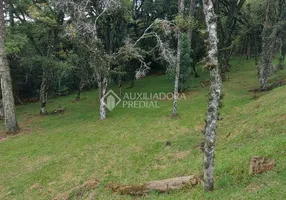 Foto 1 de Lote/Terreno à venda, 595m² em Centro, Canela