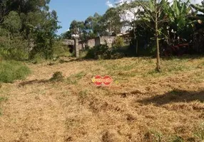 Foto 1 de Fazenda/Sítio com 1 Quarto à venda, 30000m² em Vila Nova , Amparo