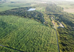 Foto 1 de Fazenda/Sítio com 4 Quartos à venda, 700000000m² em Zona Rural, Canguaretama