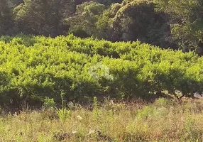 Foto 1 de Fazenda/Sítio com 1 Quarto à venda, 120000m² em , Nova Pádua