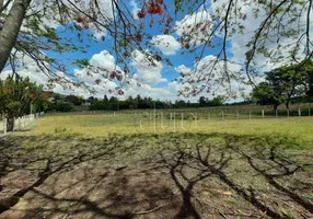 Foto 1 de Fazenda/Sítio com 3 Quartos à venda, 500m² em Zona Rural, Saltinho