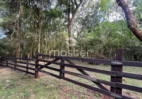 Foto 1 de Fazenda/Sítio à venda, 3000m² em Centro, Passo Fundo