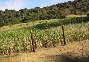 Foto 1 de Fazenda/Sítio à venda em Centro, Ibiporã