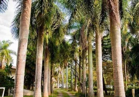 Foto 1 de Fazenda/Sítio com 4 Quartos à venda, 666m² em Dois Córregos, Valinhos