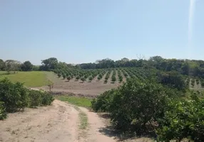 Foto 1 de Fazenda/Sítio com 4 Quartos à venda, 11m² em Centro Sao Vicente, Araruama