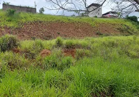 Foto 1 de Lote/Terreno à venda, 300m² em Benfica, Juiz de Fora