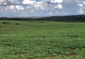 Foto 1 de Fazenda/Sítio à venda em Centro, Cidade Ocidental