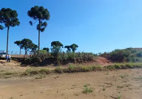 Foto 1 de Lote/Terreno com 1 Quarto à venda, 2400m² em Areia Branca dos Assis, Mandirituba