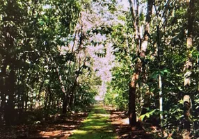 Foto 1 de Lote/Terreno à venda, 1500m² em Condominio Ecologico Mansoes Morumbi, Senador Canedo