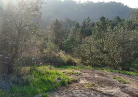 Foto 1 de Lote/Terreno à venda em Sitio do Morro, Santana de Parnaíba