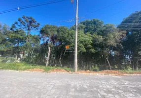 Foto 1 de Lote/Terreno à venda em Nossa Senhora do Rosário, Caxias do Sul