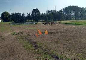 Foto 1 de Fazenda/Sítio com 1 Quarto à venda, 8300m² em Granja das Acácias, Quatro Barras