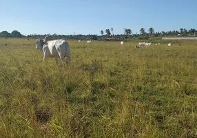 Foto 1 de Fazenda/Sítio com 3 Quartos à venda, 17000m² em Monte Alegre, Monte Alegre