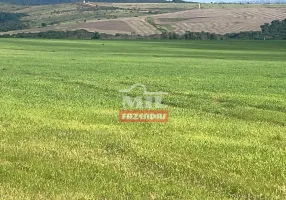 Foto 1 de Fazenda/Sítio à venda em Zona Rural, Luziânia