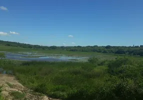 Foto 1 de Fazenda/Sítio à venda, 230000m² em , Monte Alegre