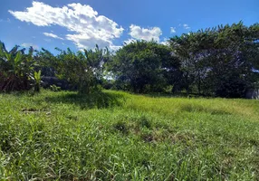 Foto 1 de Lote/Terreno à venda, 4380m² em Gilberto Mestrinho, Manaus