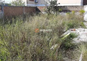 Foto 1 de Lote/Terreno à venda, 250m² em Areal, Pelotas