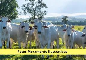 Foto 1 de Fazenda/Sítio à venda, 5000m² em Area Rural de Sao Joao da Boa Vista, São João da Boa Vista