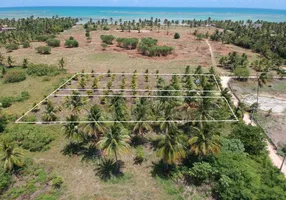 Foto 1 de Lote/Terreno à venda, 150m² em Centro, São Miguel dos Milagres