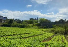 Foto 1 de Lote/Terreno à venda, 500m² em Chácara do Rosário, Ibiúna