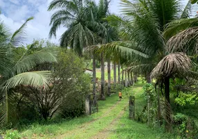 Foto 1 de Lote/Terreno à venda, 21840m² em Santo Agostinho, Cabo de Santo Agostinho