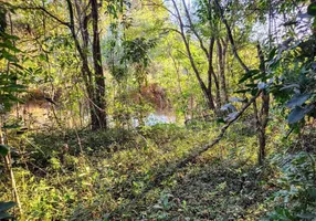 Foto 1 de Lote/Terreno à venda, 3000m² em Centro, São João da Mata