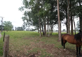 Foto 1 de para alugar, 6085m² em Quississana, São José dos Pinhais