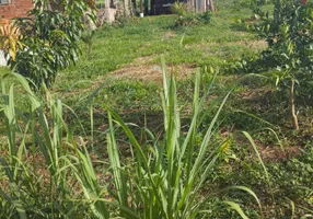 Foto 1 de Fazenda/Sítio com 2 Quartos à venda, 1900m² em Zona Rural, Campo Limpo de Goiás