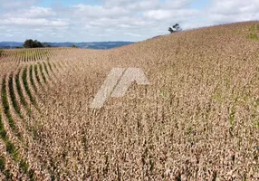 Foto 1 de Lote/Terreno à venda, 115899m² em , Campo Magro