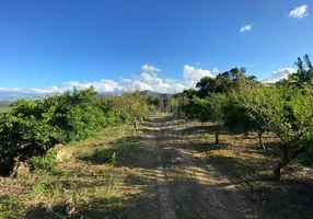 Foto 1 de Lote/Terreno à venda, 150000m² em Oliveiras, Tijucas