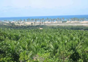 Foto 1 de Fazenda/Sítio com 2 Quartos à venda, 649000m² em Barra do Itariri, Conde