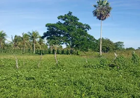 Foto 1 de Fazenda/Sítio com 3 Quartos à venda, 49000m² em Centro, São Gonçalo do Amarante