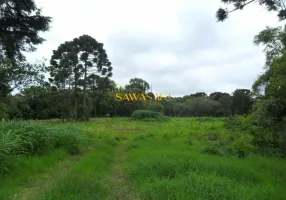 Foto 1 de Lote/Terreno à venda, 49350m² em Roseira, São José dos Pinhais