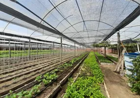 Foto 1 de Galpão/Depósito/Armazém à venda, 6628m² em Campo Novo, Porto Alegre