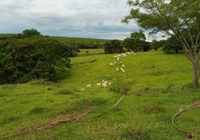 Foto 1 de Fazenda/Sítio com 1 Quarto à venda, 484000m² em Zona Rural, Santo Antônio da Alegria