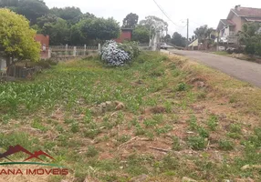 Foto 1 de Lote/Terreno à venda, 393m² em Logradouro, Nova Petrópolis