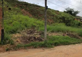 Foto 1 de Lote/Terreno à venda, 442m² em Vale Verde, Ponte Nova