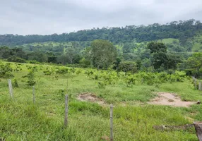Foto 1 de Fazenda/Sítio com 5 Quartos à venda, 1640m² em Zona Rural, Reserva do Cabaçal