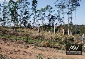 Foto 1 de Lote/Terreno à venda, 1000m² em , Coronel Pacheco