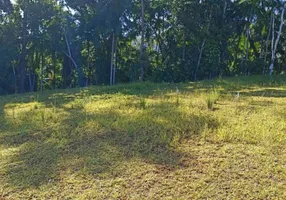 Foto 1 de Lote/Terreno à venda, 300m² em Itoupavazinha, Blumenau